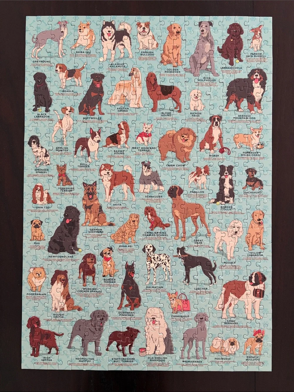 Ridley’s Dog Lover’s Jigsaw Puzzle - 500 Pieces 14x20 with Poster,  54 Breeds